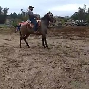 Meet your Posher, Tomas